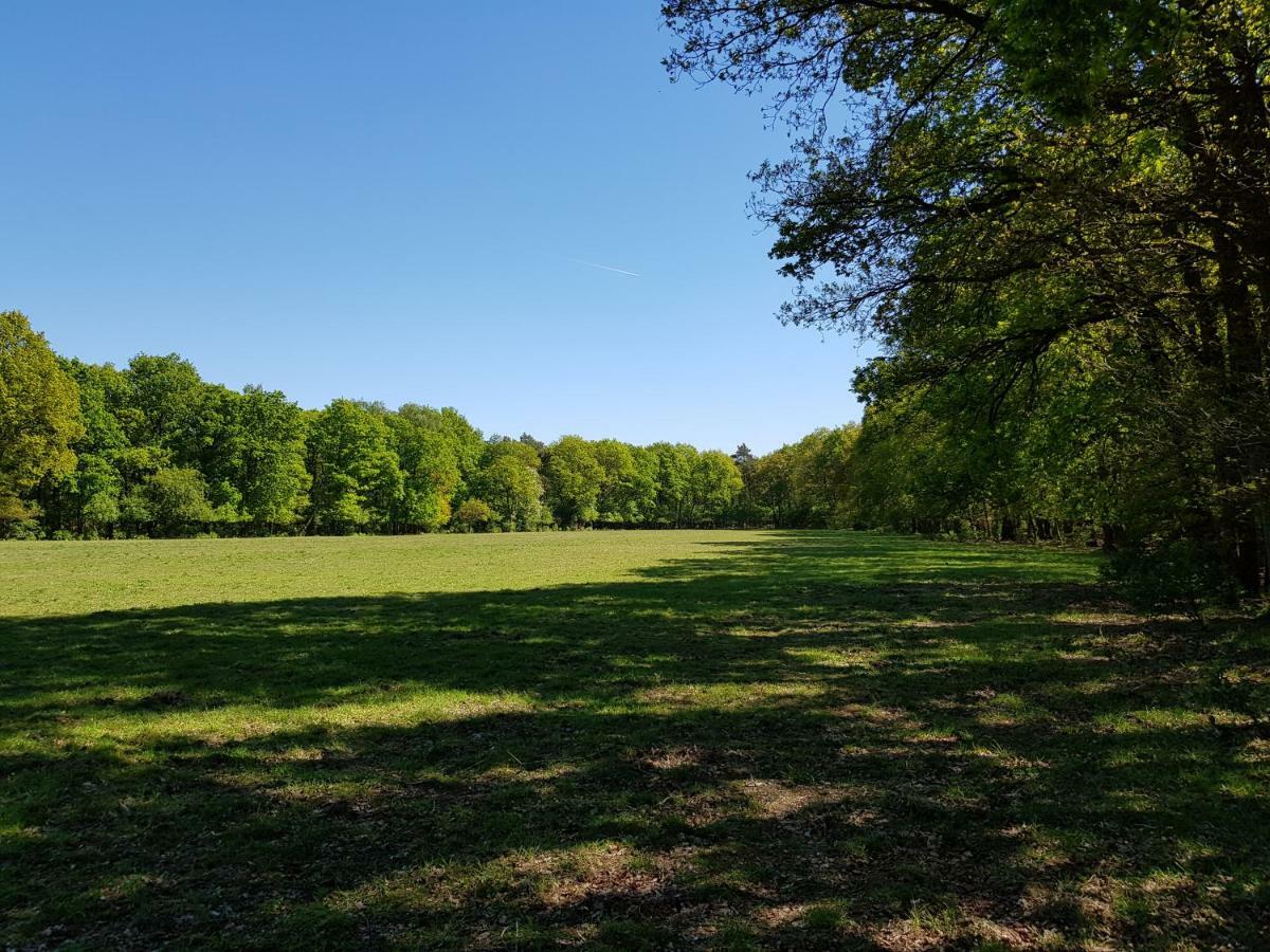 Knusse Natuur Bungalow Hartje Veluwe Otterlo Εξωτερικό φωτογραφία